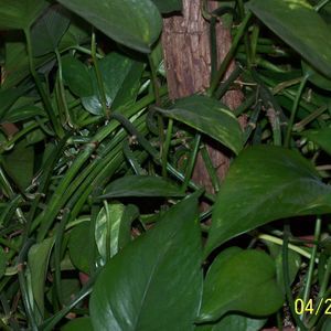 Meet your Posher, Barbara